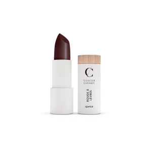 Couleur Caramel Rouge A Levres Barra De Labios 240 Stolen Kiss